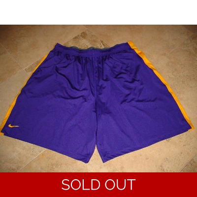 Nike Lightning Speed Fly Training Shorts Purple Gold 4XL
